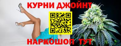 молекула духа Новозыбков