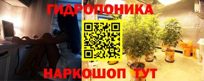 молекула духа Новозыбков