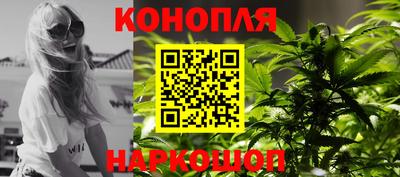 Альфа ПВП Новодвинск