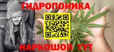 шишки Обь
