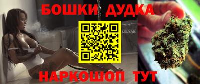 шишки Обь