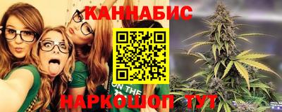сатива Новокубанск