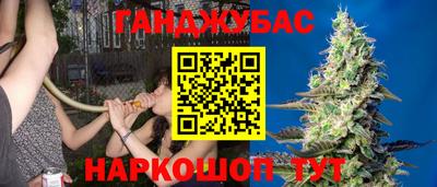 сатива Новокубанск