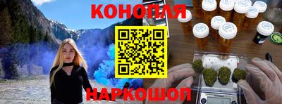 шишки Обь